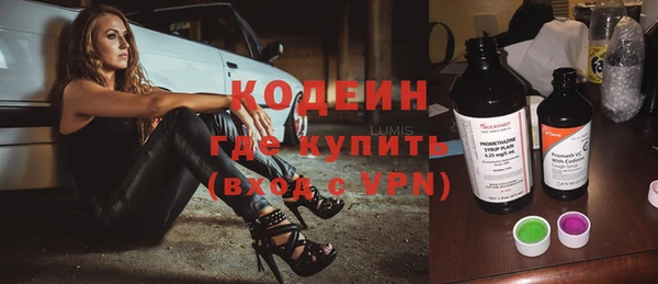 индика Ельня