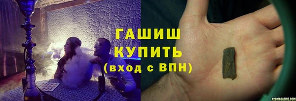 индика Ельня