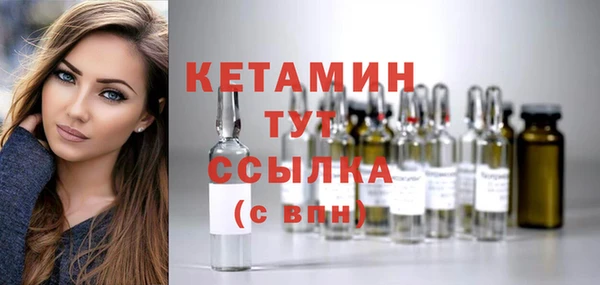 индика Ельня