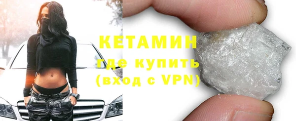 индика Ельня