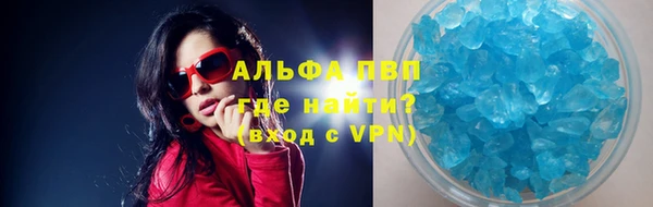 индика Ельня