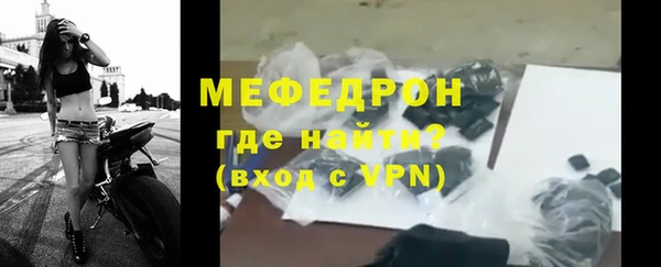 индика Ельня