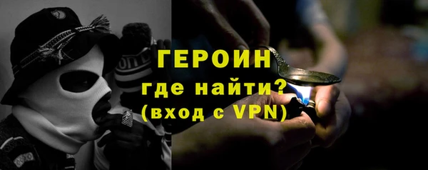 индика Ельня