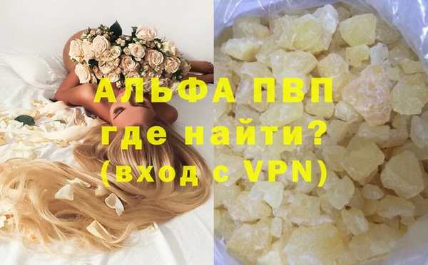 индика Ельня