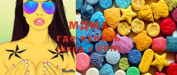 индика Ельня