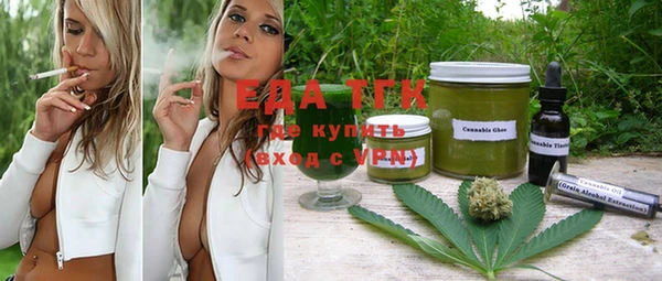 индика Ельня