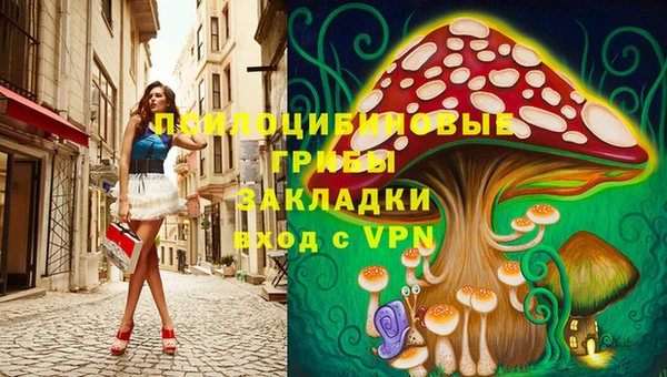 а пвп мука Елабуга