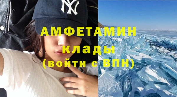 индика Ельня