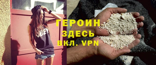 индика Ельня