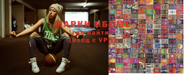 индика Ельня