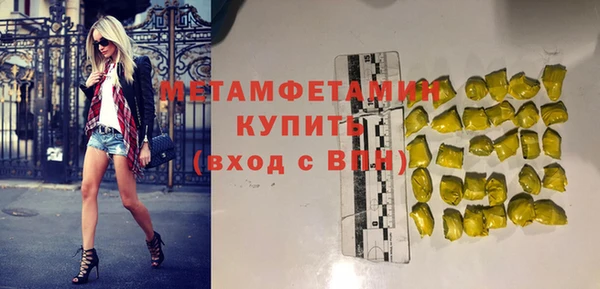 индика Ельня