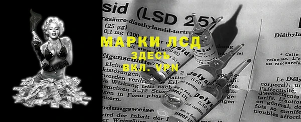 индика Ельня