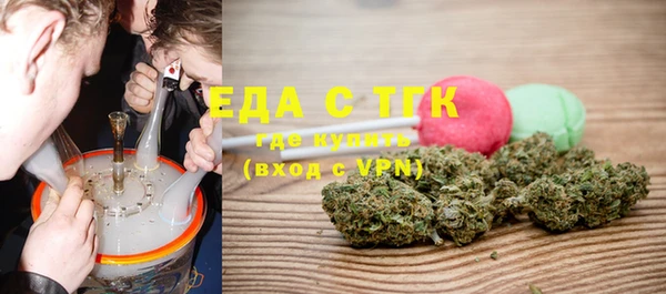индика Ельня