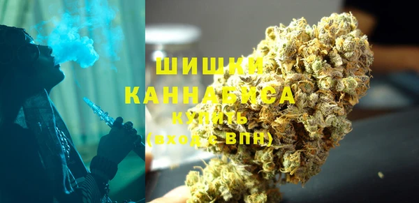 индика Ельня