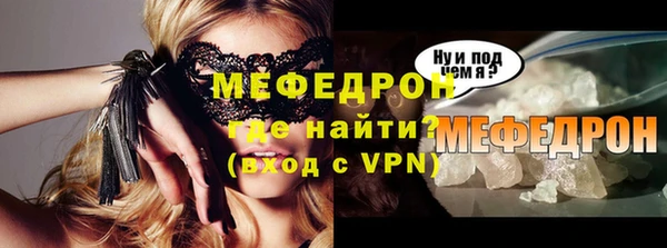 индика Ельня