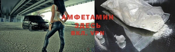 индика Ельня