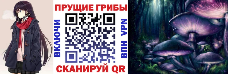 сайты даркнета наркотические препараты  Наволоки  Галлюциногенные грибы Psilocybe 