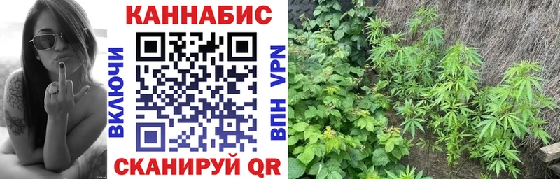 Конопля Ganja  купить   Наволоки 